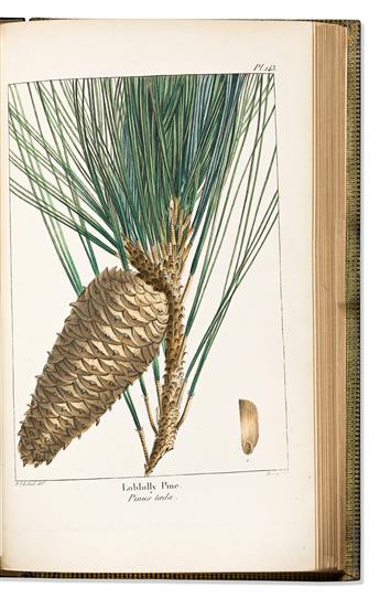 (BOTANICAL.) Francois Andre Michaux; and Thomas Nuttall. The North American Sylva;